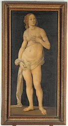 Vénus